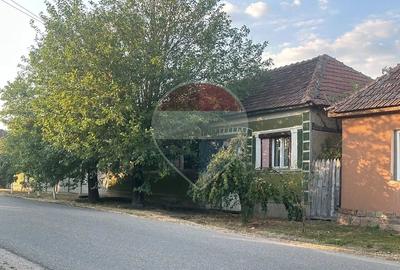 Casă cu 3 camere cu Teren 1151 Mp în Săldăbagiu Mic