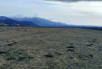 Teren Construcții intravilan de 1049 mp, în Pănicel - 15