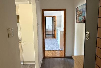 Apartament cu 2 camere semidecomandat în Micălaca - 8