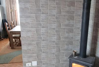 Casă cu 5 camere cu Teren 3000 Mp în Mitocu Dragomirnei - 3
