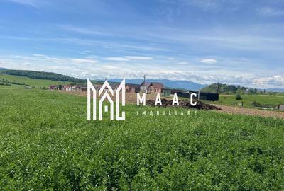 Teren agricol de 45200 mp, în Cașolț - 4