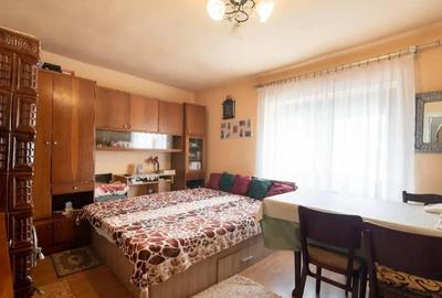 Casă cu 4 camere cu Teren 1672 Mp în Tămășeu - 7