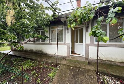 Casă cu 4 camere cu Teren 4075 Mp în Cotu Ciorii