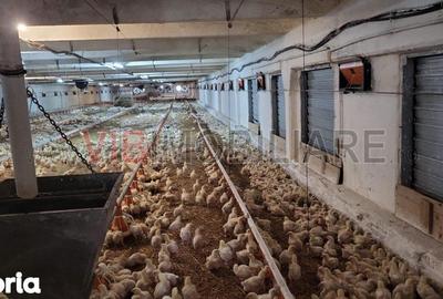 Spațiu comercial, de 5,000 mp, în Central - 3