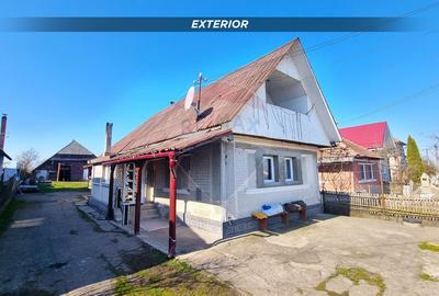 Casă cu 3 camere cu Teren 3724 Mp în Borlești - 2