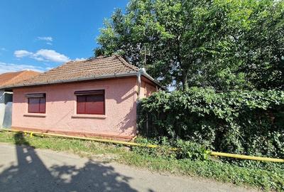 Casă cu 3 camere cu Teren 782 Mp în Suplacu de Barcău - 5