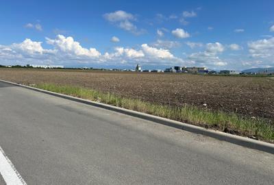 Teren Construcții intravilan de 9000 mp, în Industrial Vest - 2