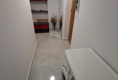 Garsonieră decomandată, mobilată în Nicolina - 8
