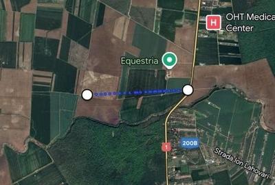 Teren de 4365 mp, în Tâncăbești