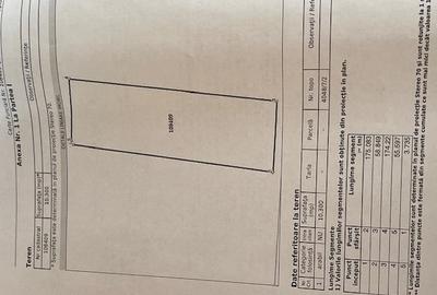Teren agricol extravilan de 10300 mp, în Sânpetru - 2