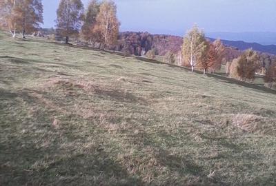 Teren de 21400 mp, în Central - 7