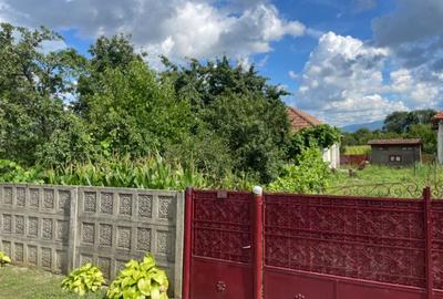 Casă individuală cu 4 camere cu Teren 1115 Mp în Totești - 3