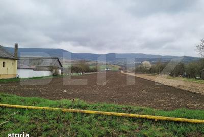 Teren de 800 mp, în Șieu - 1