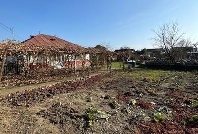 Casă individuală cu 4 camere cu Teren 807 Mp în Șerbănești - 10