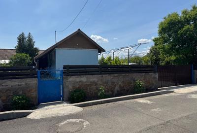 Casă cu 4 camere în Jurilovca - 2