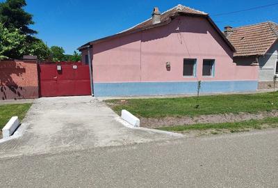 Casă cu 3 camere cu Teren 973 Mp în Pustiniș