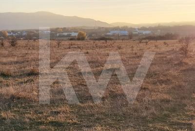 Teren agricol extravilan de 560 mp, în Cisnădie - 4