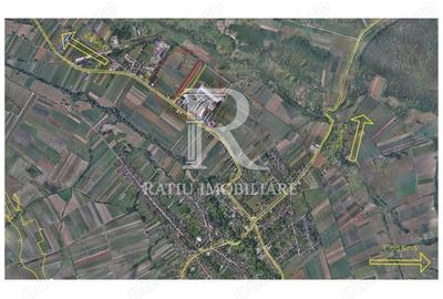 Teren de 10000 mp, în Peceiu