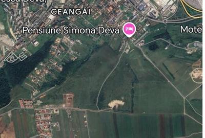 Teren de 11500 mp, în Central