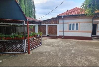 Casă cu 4 camere în Zilișteanca