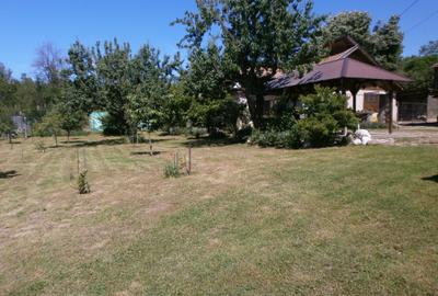 Teren de 120 mp, în Bâscenii de Sus - 1