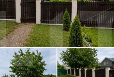 Casă cu 3 camere cu Teren 1300 Mp în Central