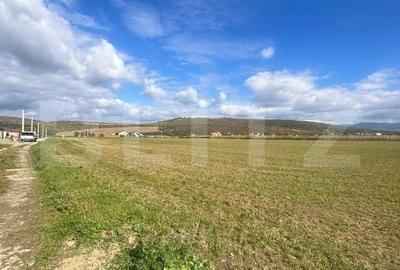 Teren de 25800 mp, în Central