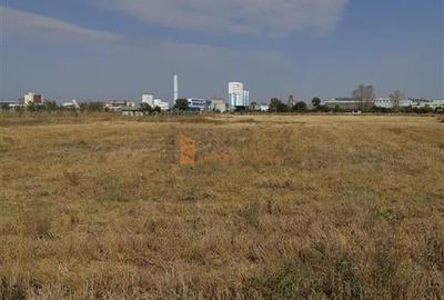 Teren Construcții intravilan de 13000 mp, în 1 Decembrie - 2
