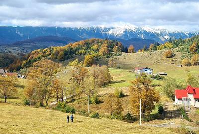 Teren intravilan de 15771 mp, în Fundata - 2