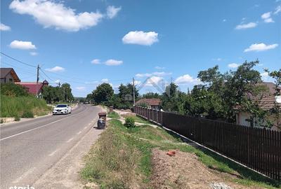 Spațiu comercial, în Ciurea