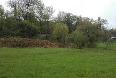 Teren de 2798 mp, în Sârbi - 6