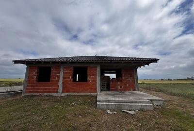 Casă cu 2 camere în Zimandu Nou - 3