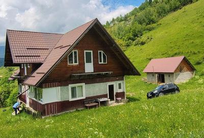 Casă cu Teren 5400 Mp în Măgura - 8
