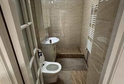 Apartament cu 2 camere decomandat în Mehala - 5