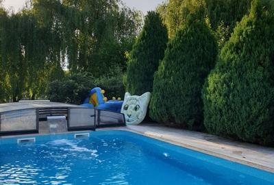Casă cu 4 camere cu Piscina în Siliștea Snagovului - 1