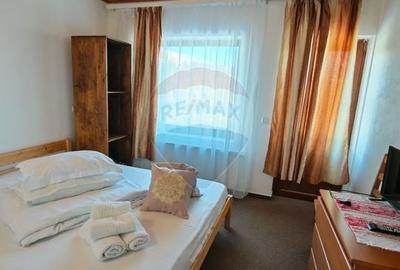 Hotel/Pensiune, de 270 mp, în Baia de Fier - 30