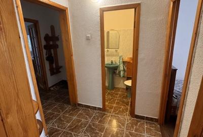 Apartament cu 3 camere decomandat în Craiovița Nouă - 15