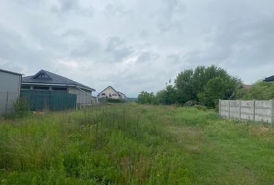 Teren Construcții intravilan de 1800 mp, în Brănești - 2