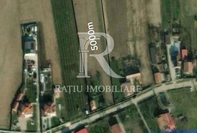 Spațiu comercial, în Leș