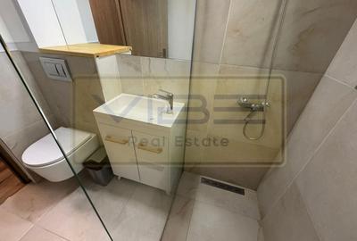 Apartament cu 2 camere decomandat, mobilat în Copou - 14