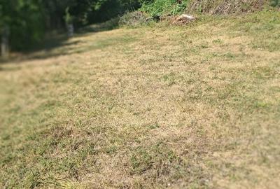 Casă cu Teren 25700 Mp în Dumești