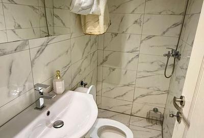 Apartament cu 2 camere în Șagului - 5