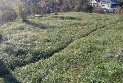 Teren de 1028 mp, în Băcești