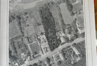 Teren de 2196 mp, în Cojești - 3