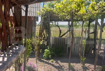 Casă cu 2 camere cu Teren 3548 Mp în Doba - 5