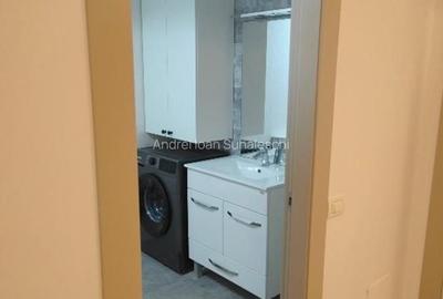 Apartament cu 3 camere decomandat, mobilat în Theodor Pallady - 11