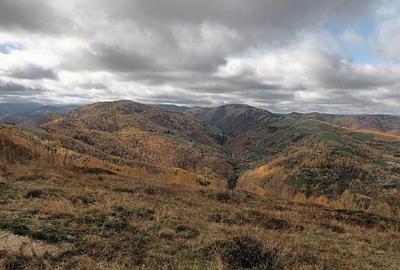 Teren de 5500 mp, în Muntele Rece