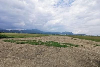 Teren Construcții intravilan de 7348 mp, în Triaj - 10