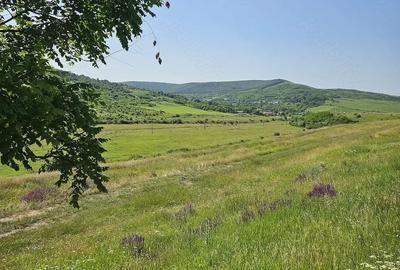 Teren de 7200 mp, în Crețești - 4