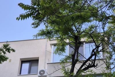 Garsonieră decomandată în Berceni - 4